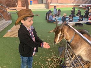 IMG_3361