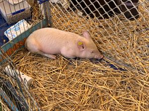 IMG_3892