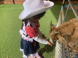 IMG_7559