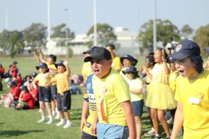 IMG_9264