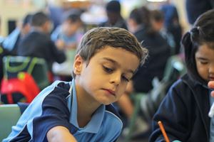 IMG_8412