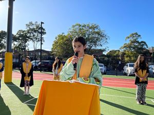 img-3350