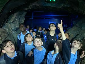 img-5306
