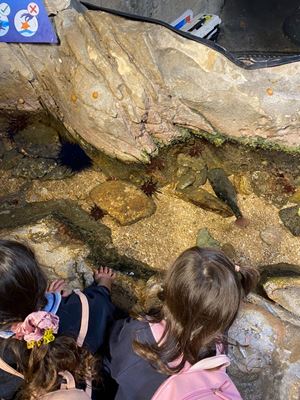 img-5313