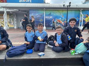 img-8436