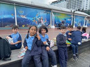 img-8445