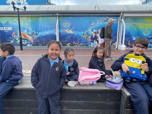img-8451