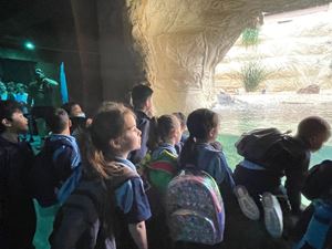 img-8464