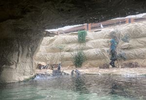 img-8468