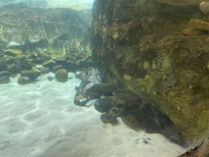 img-8469