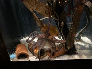 img-8472