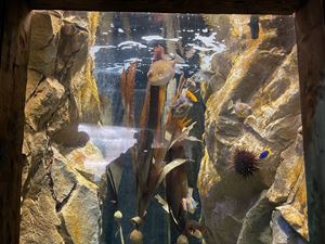 img-8474