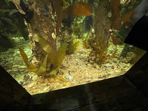 img-8482