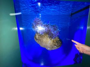 img-8484