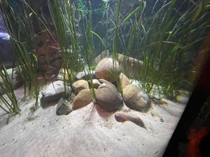 img-8485
