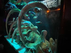 img-8489