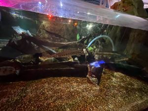 img-8490