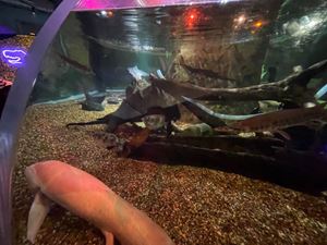 img-8491