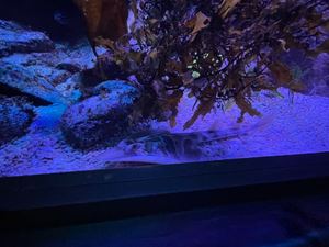 img-8495