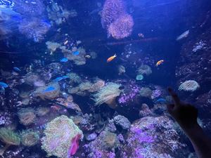 img-8498