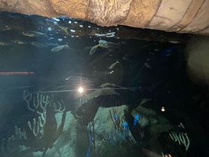 img-8500