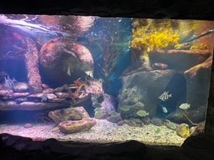 img-8502