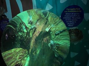 img-8505