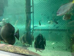 img-8511