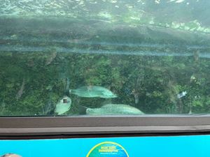 img-8512