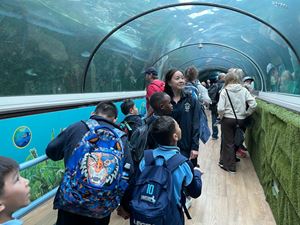 img-8514