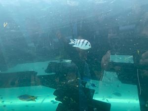 img-8515