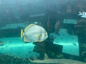 img-8516