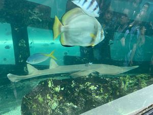 img-8517