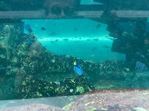 img-8518
