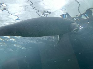 img-8520