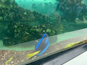 img-8522