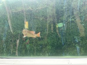 img-8525