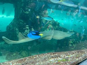 img-8526
