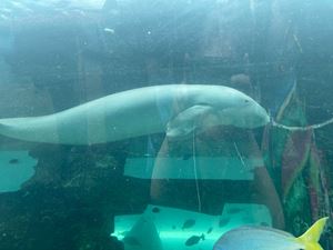 img-8527