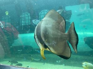 img-8528