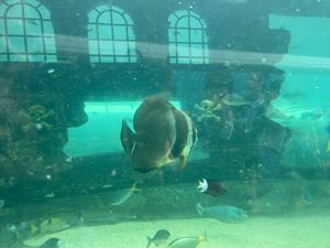 img-8532