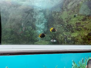 img-8533