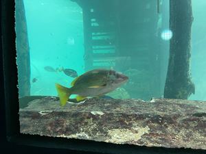 img-8534