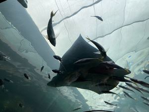 img-8535