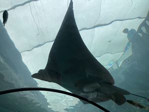 img-8536