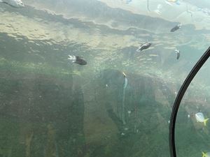 img-8537