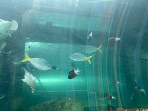 img-8538