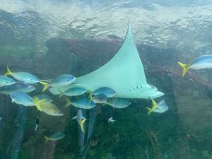 img-8540