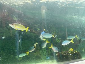 img-8542
