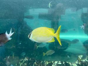 img-8543